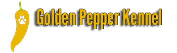 Allevamento Golden Pepper