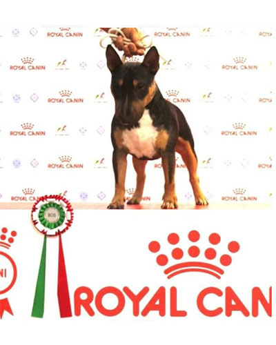 Leonidas Pokora, detto Leon